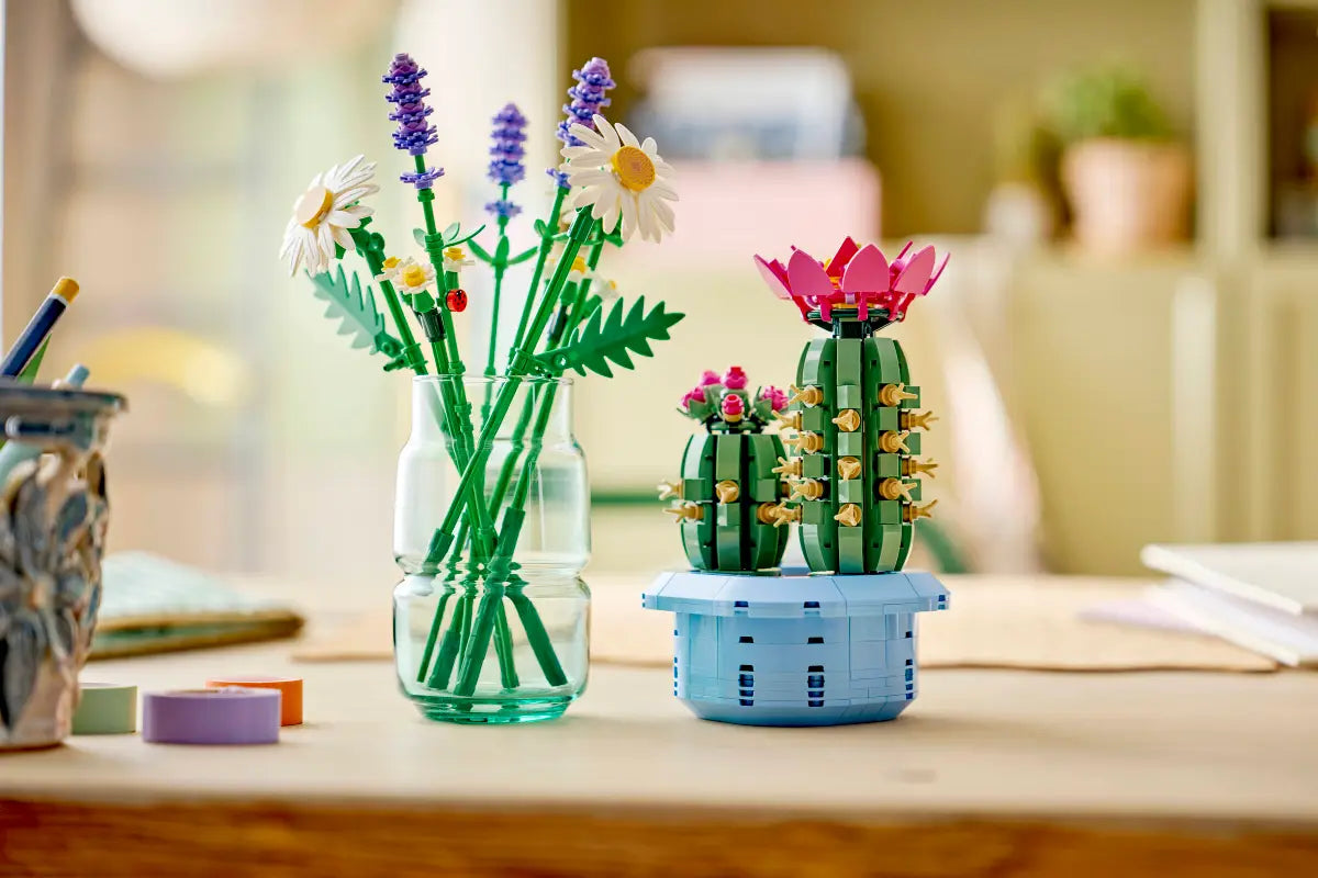 Cactus en fleurs (11509)